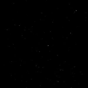 Meet your Posher, Sydney